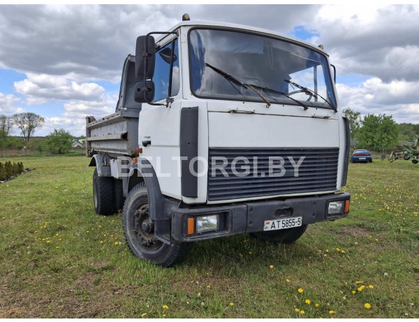 Грузовой специальный самосвал МАЗ 555102, 2004г.в., № рамы/кузова Y3M55510240004524, цвет белый