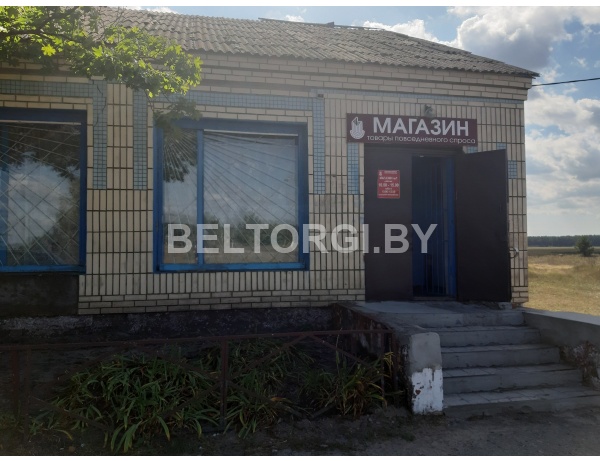 Здание магазина №47, с инв.№340/С-3203053, общая площадь – 116.8 кв.м., по адресу: Гомельская область, Лоевский район, Ручаевский с/с, д. Димамерки, ул. Центральная, 10А