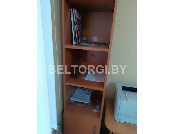 Шкаф-стеллаж одностворчатый, инв. № 84/2