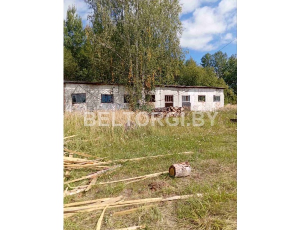 Капитальное строение с инв. номером 733/С-248 – Лесопильный цех, площадью 262,4 кв.м