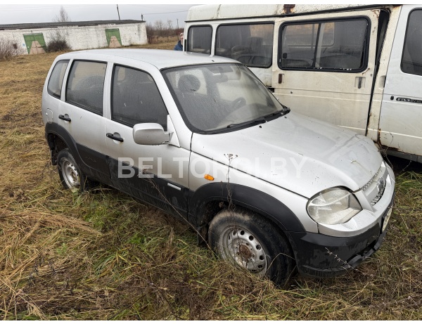 Шеврале Нива, год выпуска 2010