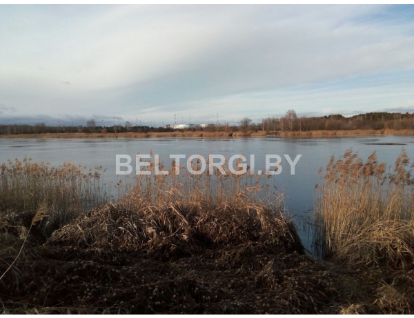 Прудовое хозяйство Гомельская обл., Мозырский р-н, Михалковский с/с, прудовое хозяйство, 1,8 км юго-восточнее п. Дружба, площадь - 278743 кв.м., площадь земельного участка - 29,4268 га.