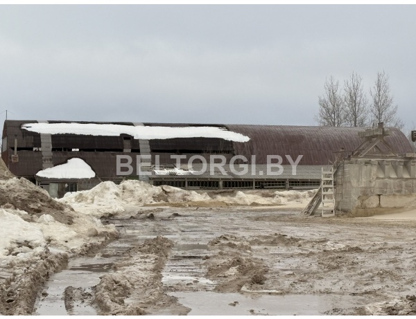 Комплекс объектов недвижимости площадью 1154,4 кв.м. расположенный на земельном участке с кадастровым номером 724486006601000153 по адресу: Могилевская обл., Могилевский р-н, Буйничский с/с,