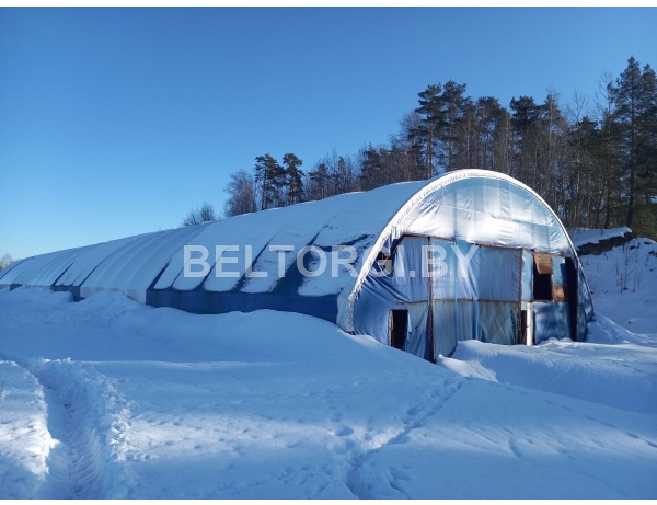 Арочник д.Староселье