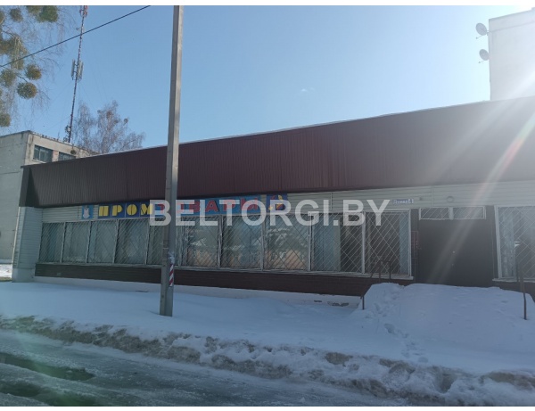 Здание магазина №17 «Промтовары», с инв.№333/С-162096 общей площадью – 254,50 кв.м., по адресу Гомельская обл., Калинковичский р-н, Горочичский с/с, д.Бобровичи, ул.Лесная,4Б