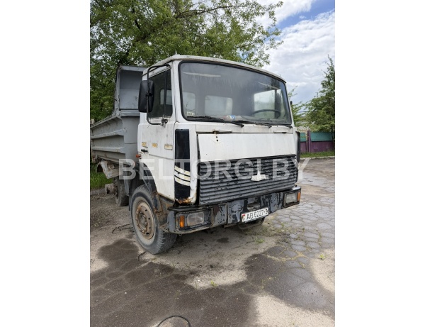 Грузовой самосвал MAZ 555102-223, 2007 г.в.№ кузова, рамы Y3M55510270011794, г.н. АВ 6227-3, инв. № У7500768