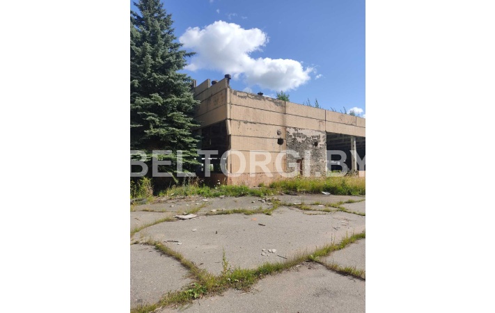Капитальное строение с инв. №340/C284075, общая площадь 6483,7 кв.м, здание производственного корпуса № 3, по адресу: Гомельская обл., Речицкий р-н, г